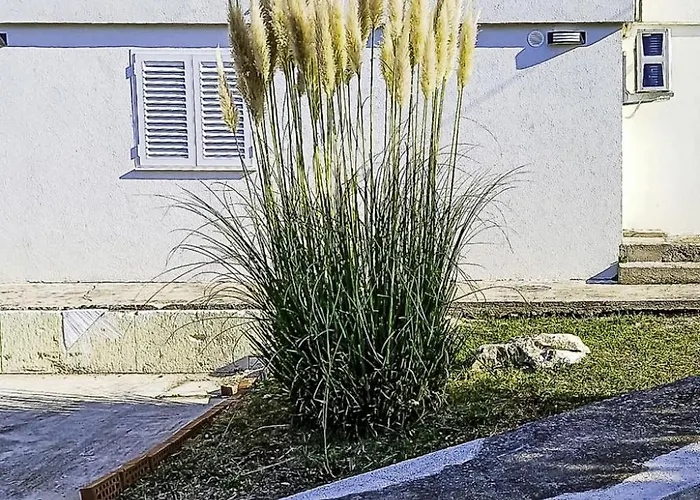 Elvira By Interhome Ist